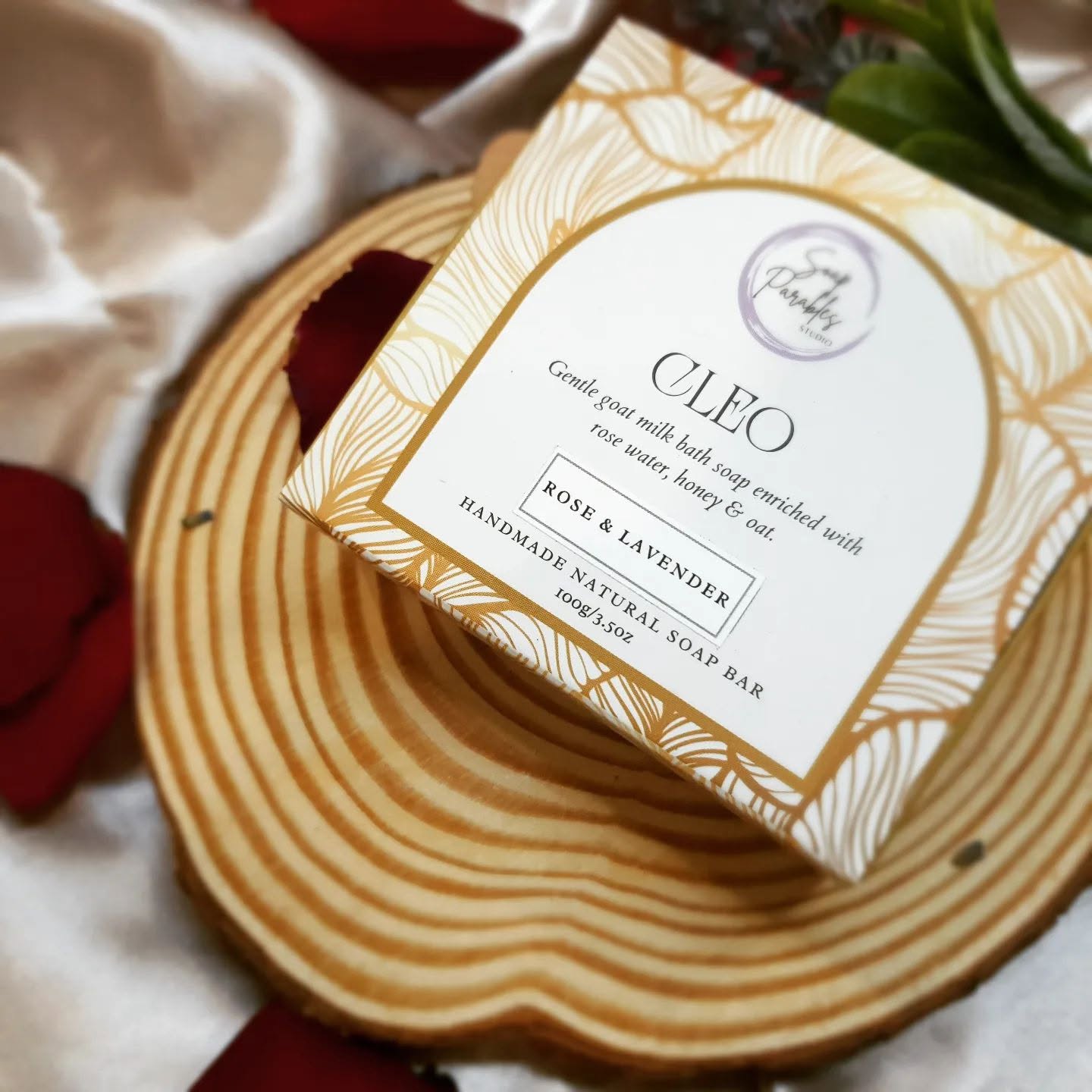 CLEO box detail